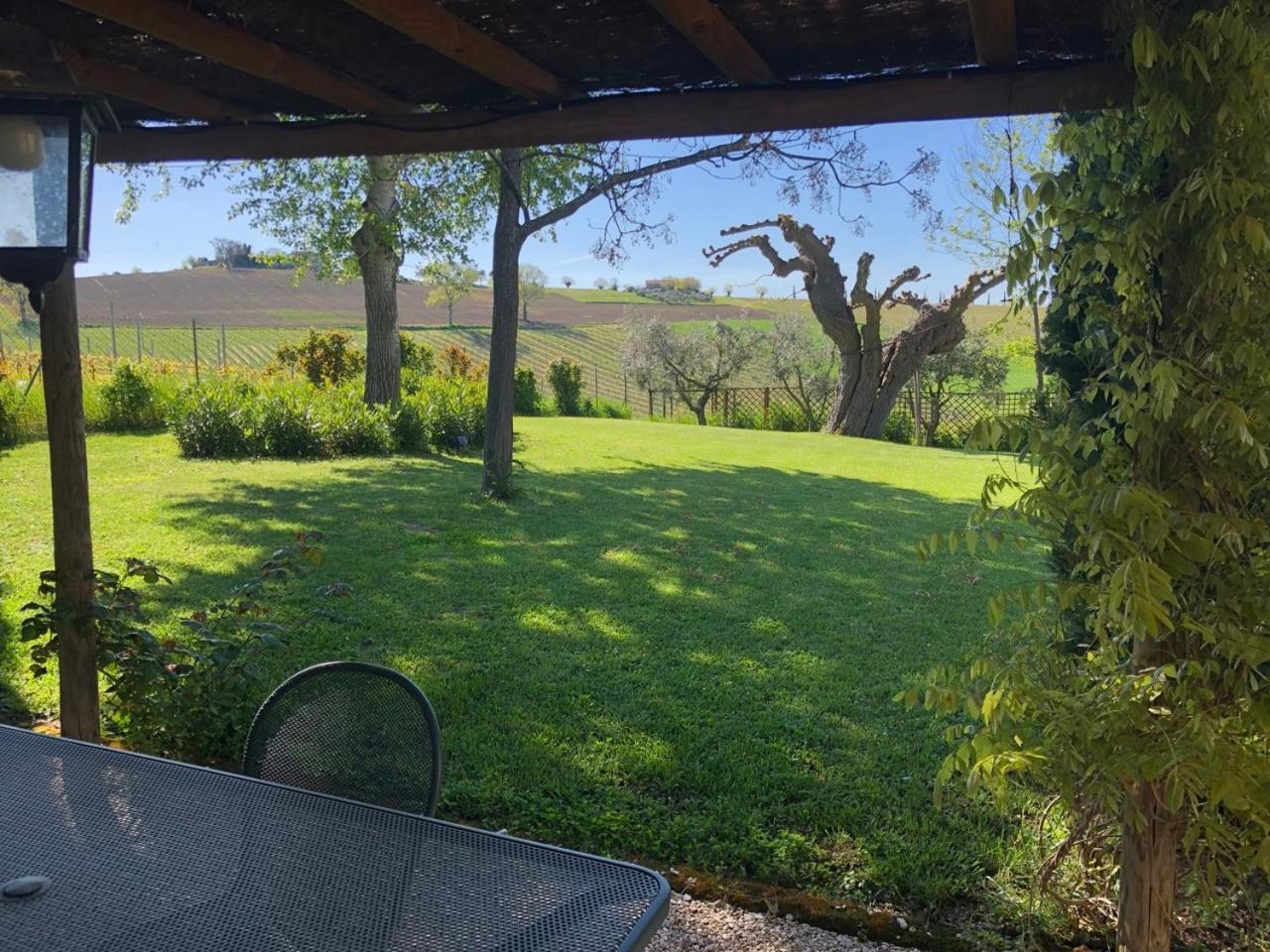 Vigna Sant' Amico Country House Morro dʼAlba Exterior foto
