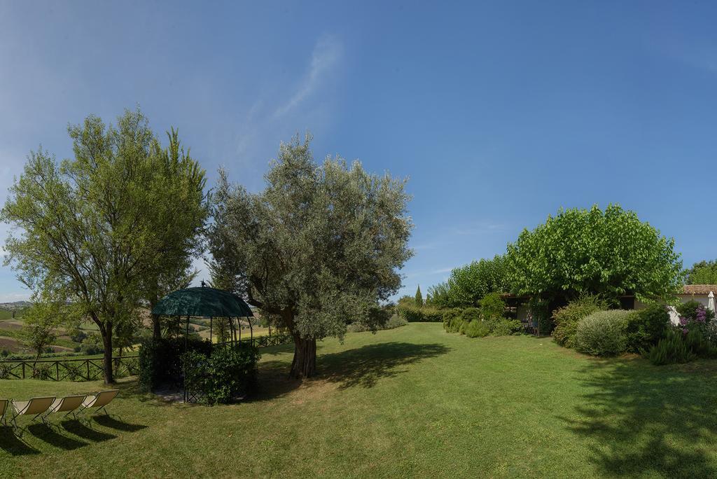 Vigna Sant' Amico Country House Morro dʼAlba Exterior foto